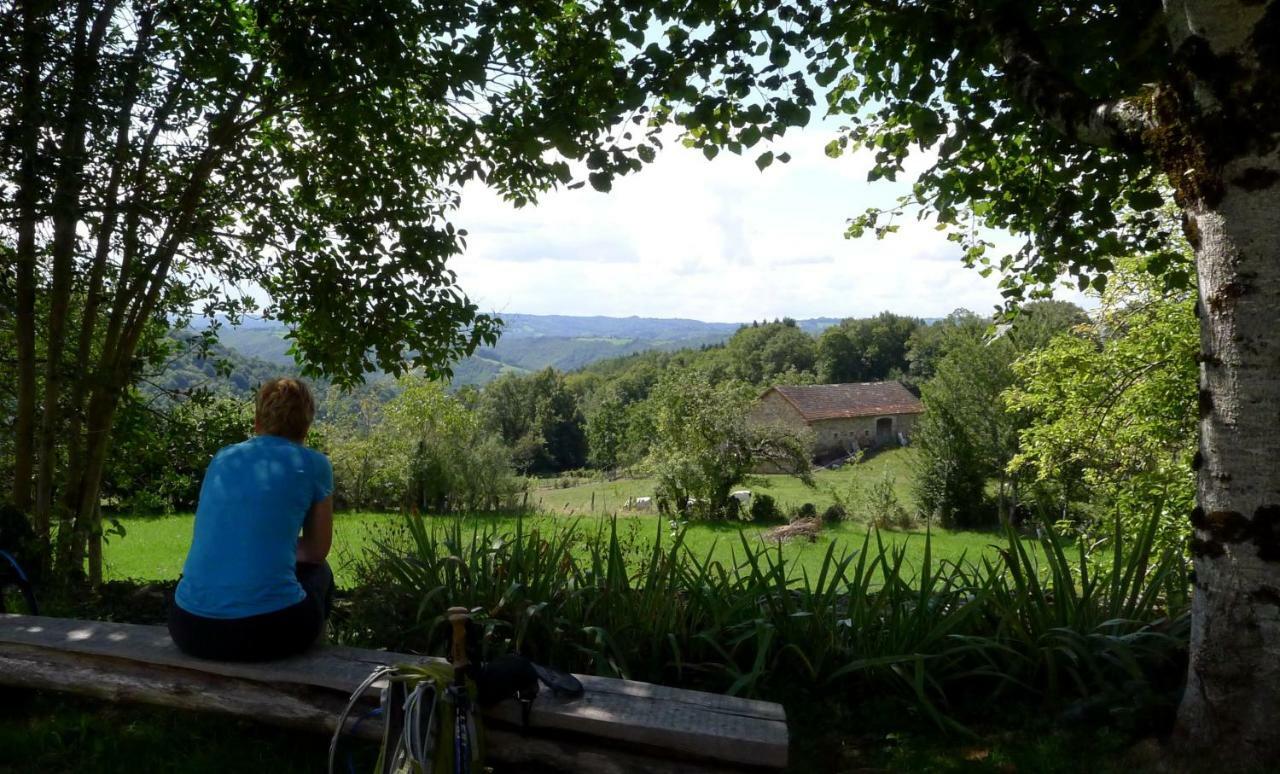 Domaine Les Teuilleres Bed and Breakfast Lacam-dʼOurcet Exteriör bild
